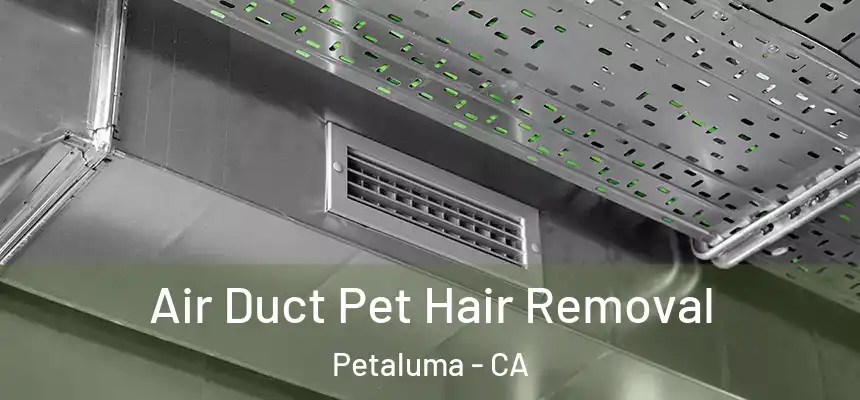  Air Duct Pet Hair Removal Petaluma - CA