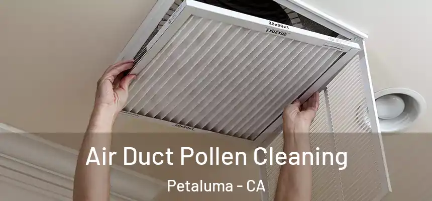  Air Duct Pollen Cleaning Petaluma - CA