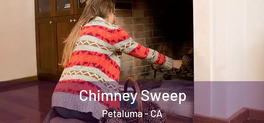  Chimney Sweep Petaluma - CA