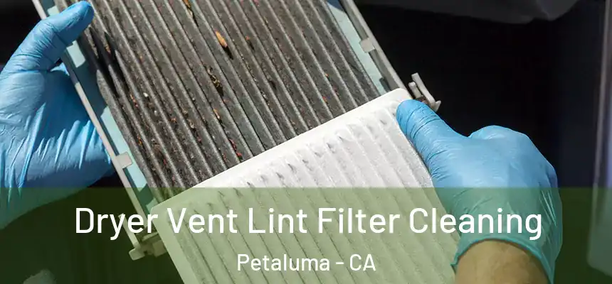  Dryer Vent Lint Filter Cleaning Petaluma - CA