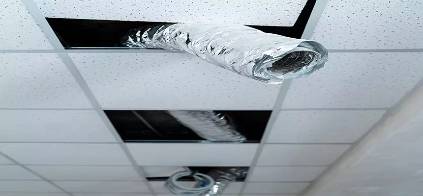 Our Air Duct Pet Hair Removal Services in Petaluma, CA