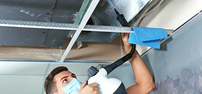 Our Air Duct Rodent Removal Services in Petaluma, CA