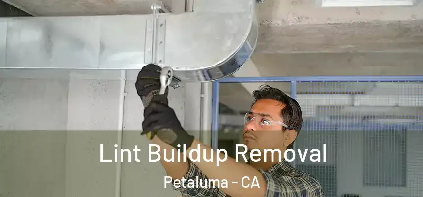  Lint Buildup Removal Petaluma - CA