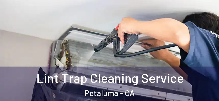  Lint Trap Cleaning Service Petaluma - CA