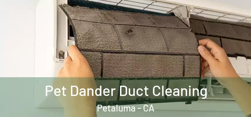 Pet Dander Duct Cleaning Petaluma - CA