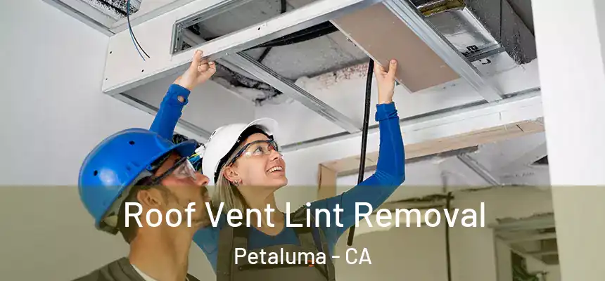  Roof Vent Lint Removal Petaluma - CA