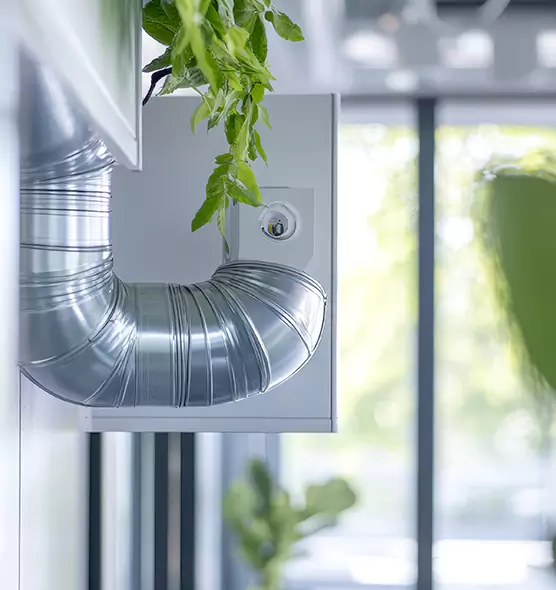 Professional Eco-Friendly Duct Cleaning Services in Petaluma, CA