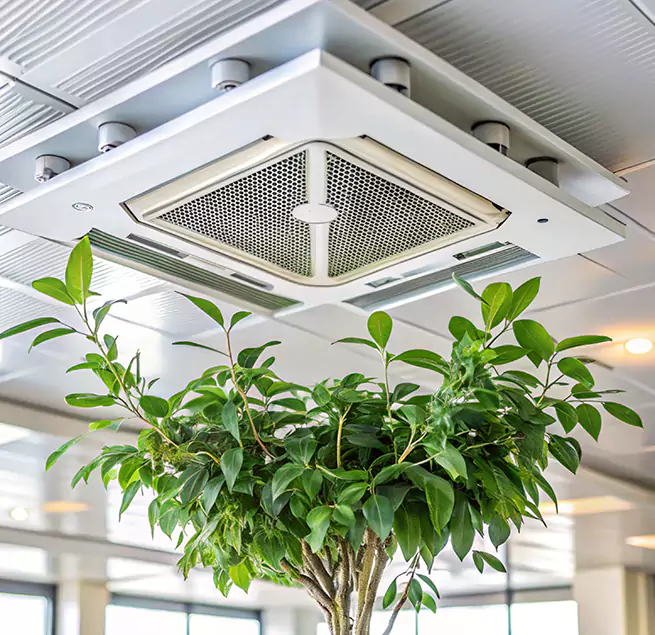 Why Homeowners & Businesses Trust Us in Petaluma, CA