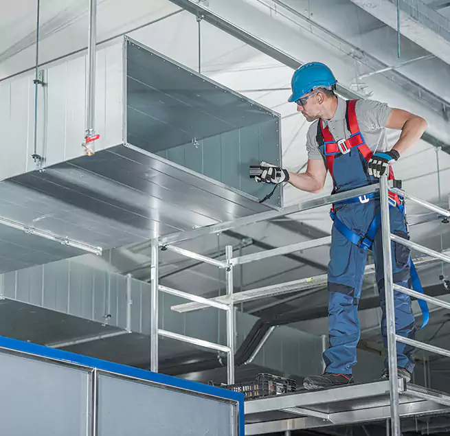 Why Homeowners Businesses Trust Us in Petaluma, CA