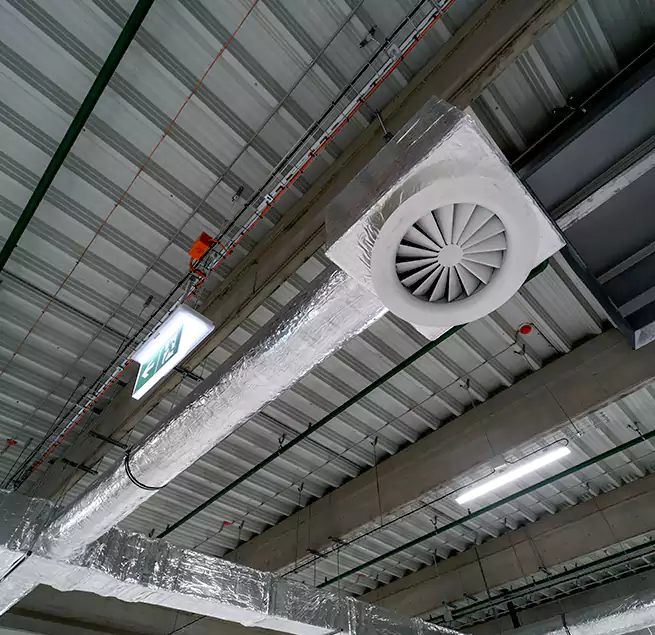 Why Homeowners & Businesses Trust Us in Petaluma, CA?