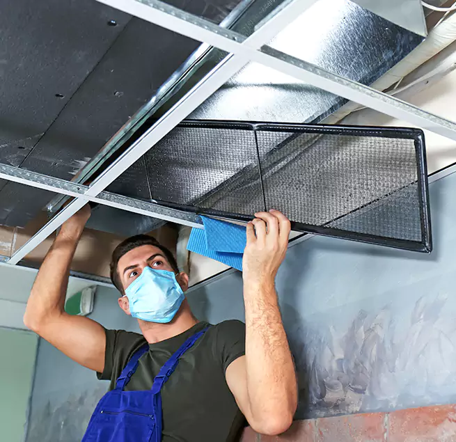 Why Homeowners & Businesses Trust Us in Petaluma, CA?