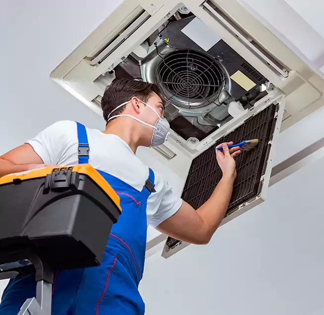 Why Homeowners & Businesses Trust Us in Petaluma, CA?